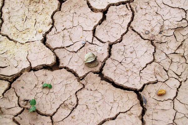 Home Insurance in the UK: What This Summer's Dry Spell Means for Subsidence Claims